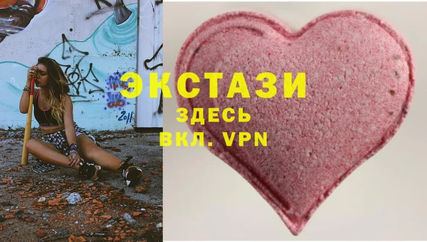 стаф Вяземский