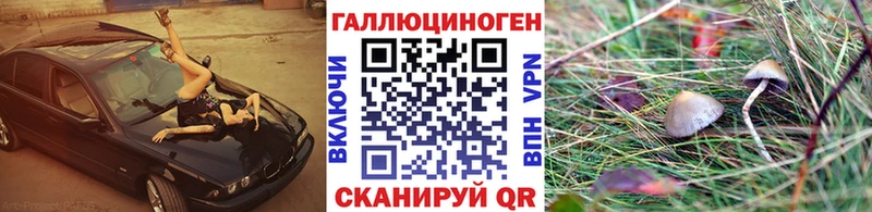 Галлюциногенные грибы мицелий  Купить  Дубна 