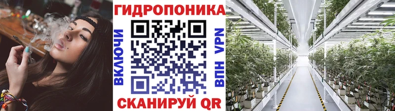 Конопля семена  Купить где  Дубна 